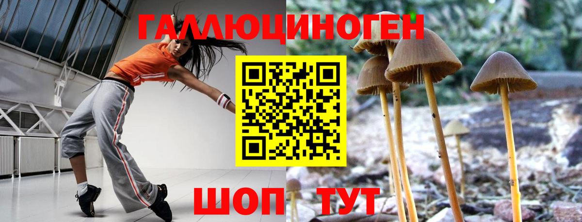 Псилоцибиновые грибы мухоморы  Южноуральск  где найти наркотики  Псилоцибиновые грибы мухоморы 