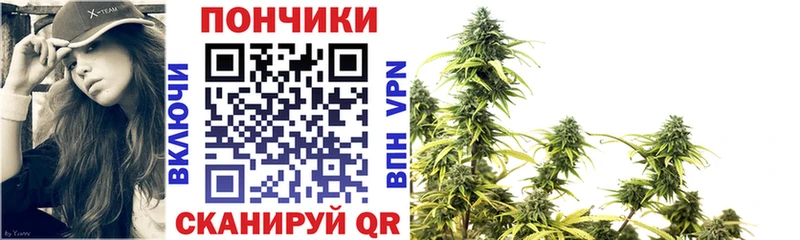 Конопля индика  Южноуральск 